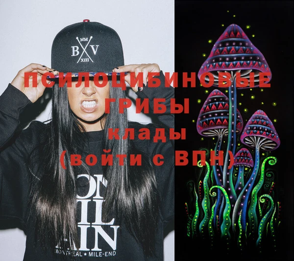марки nbome Вяземский